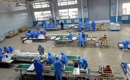 吉林省多措并举助力农业龙头企业复工复产，优化办公服务护航春耕生产